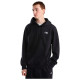 The North Face Ανδρικό φούτερ Evolution Simple Dome Regular Hoodie